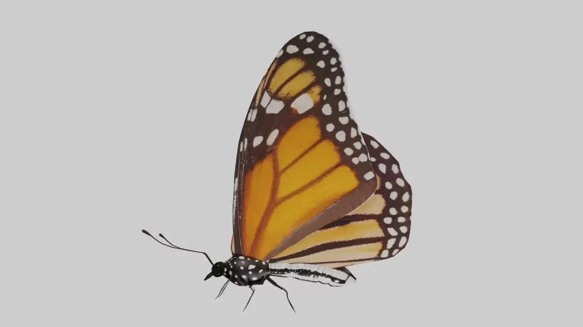 Butterfly Monarch Game Ready Low-poly 3D model