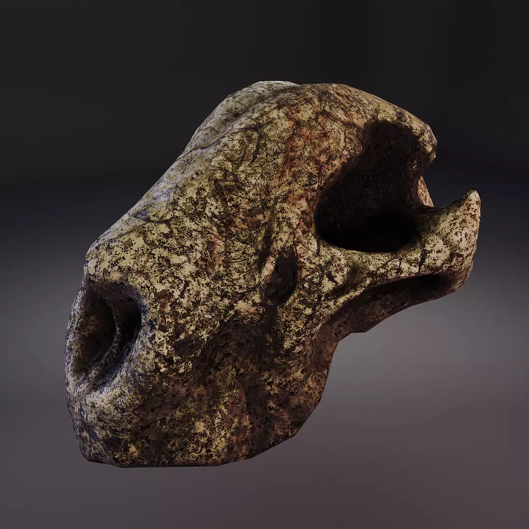3D Cheetah Skull Model Free low-poly 3D model