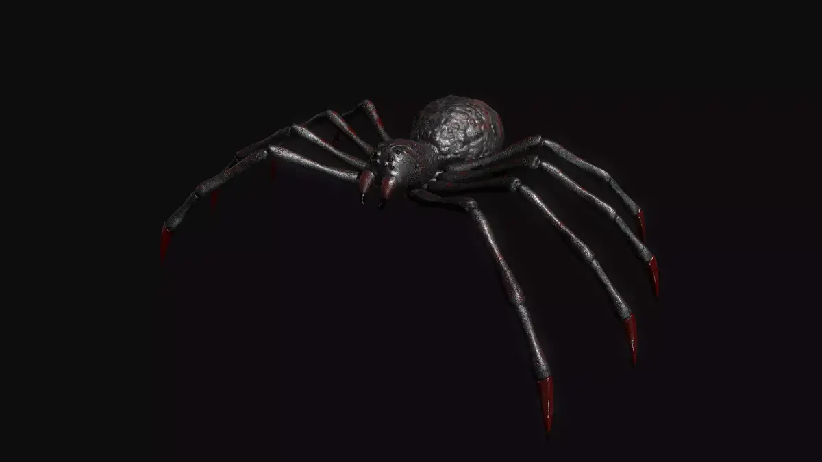 Spider Low-poly 3D model 6