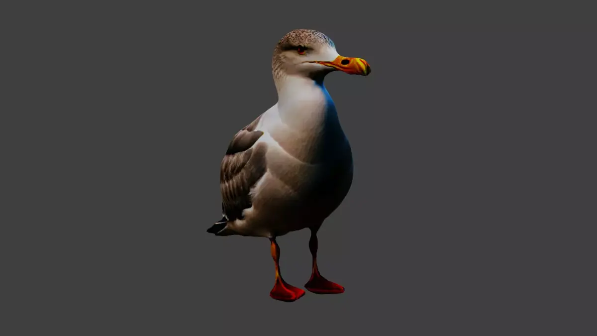 Seagull Animal Low-poly 3D model