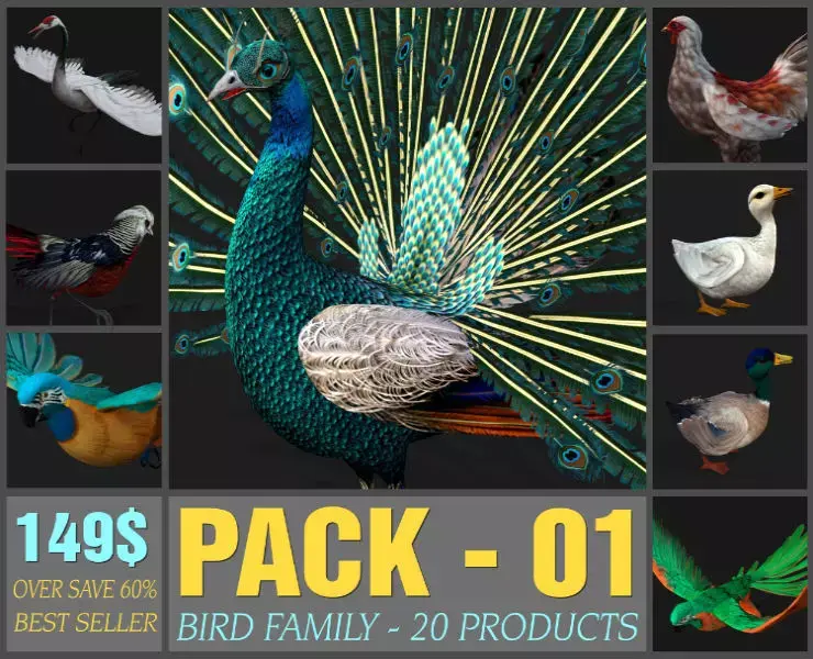 Pack-01-Bird Family 3D model