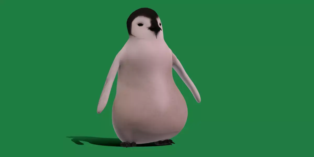 Emperor Penguin Chick Low-poly 3D model