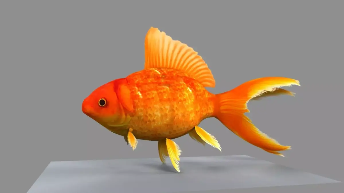 Gold Fish 3D model purchase