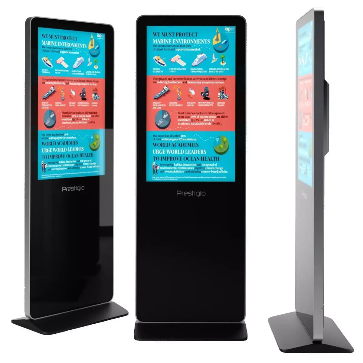 TOTEM INFORMATION SCREEN 3D model