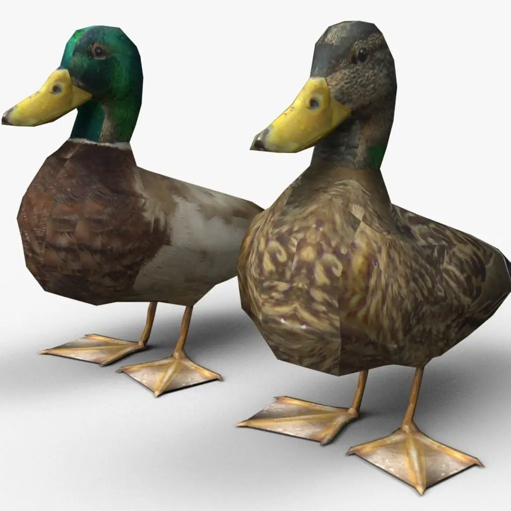 Ducks Low-poly 3D model