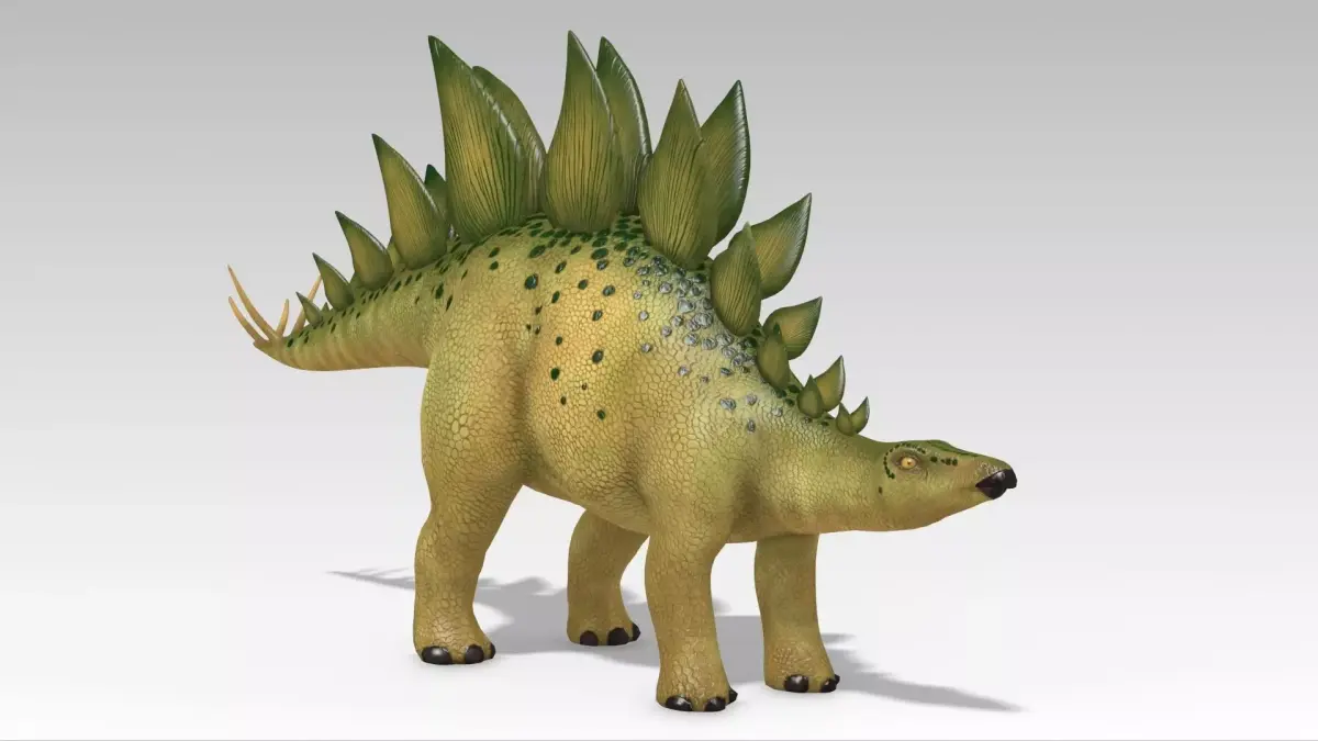 Stegosaurus Low-poly 3D model shop