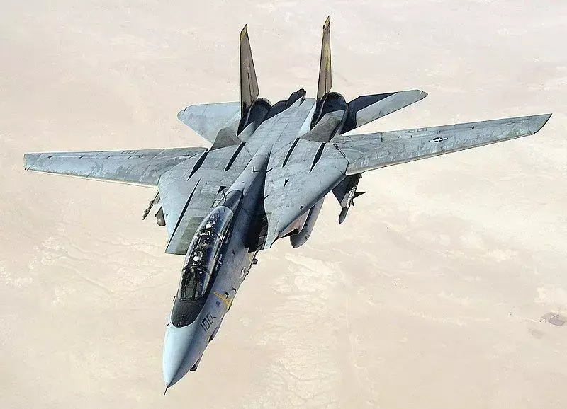 F-14 Tomcat 3D model