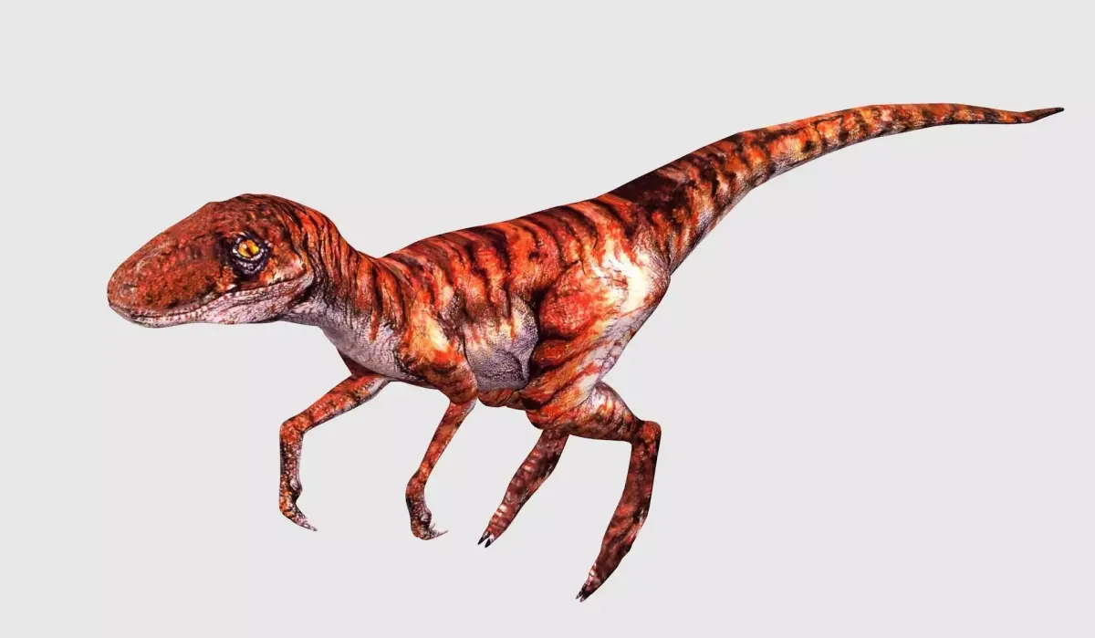 3D Animated and Rigged Raptor Dinosaur Velociraptor Low-poly 3D model