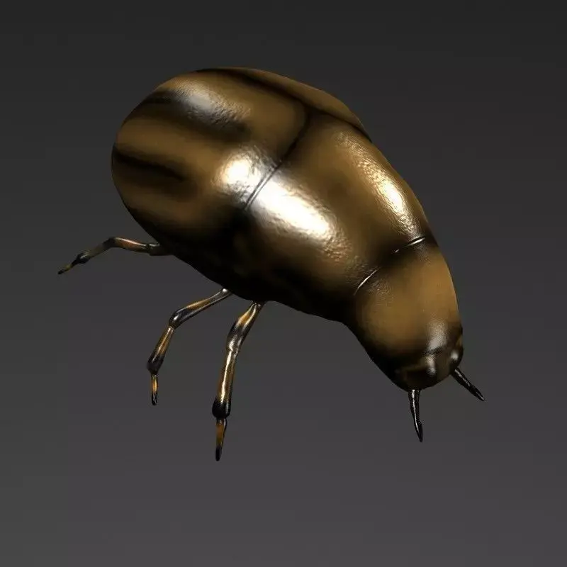 Beetle 3D model shop