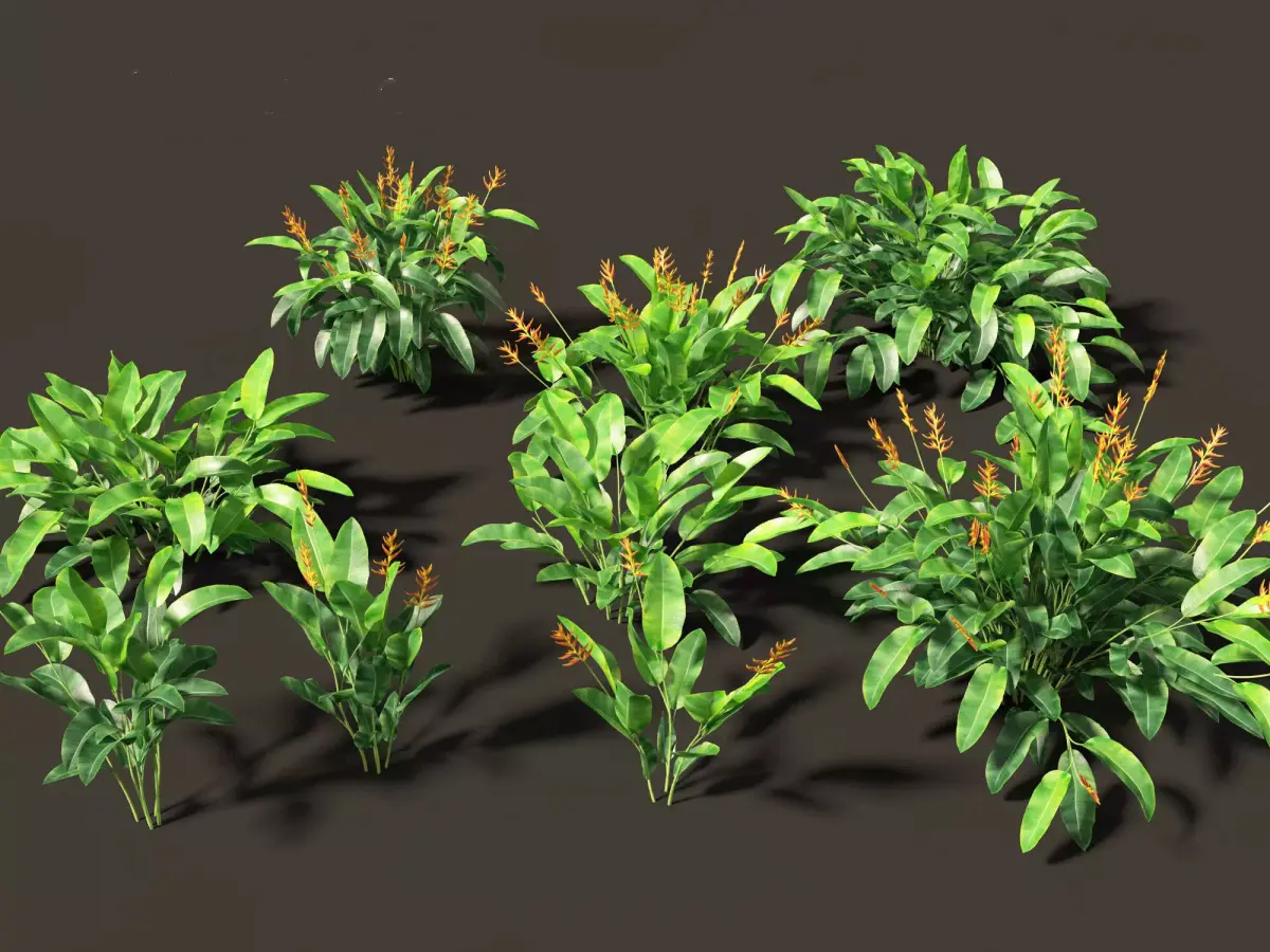 Heliconia metallica - Shining bird of paradise 3D model