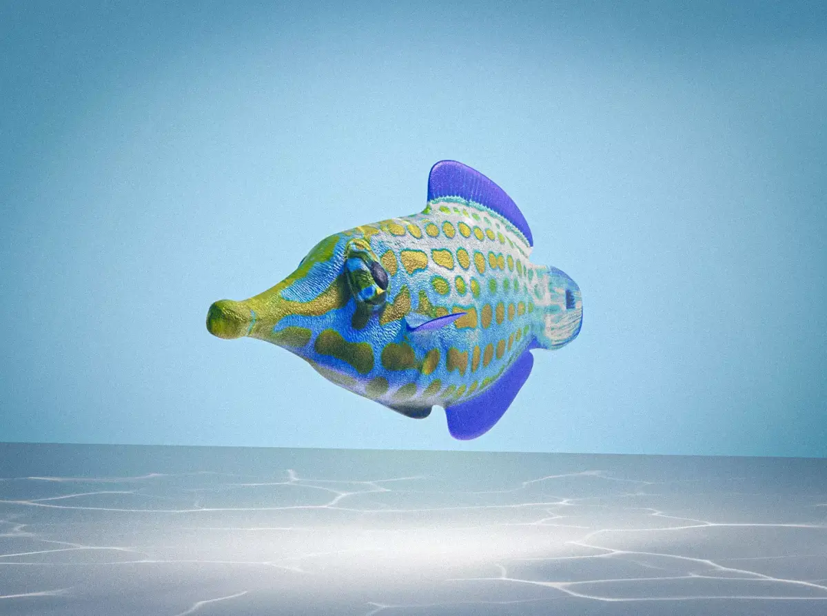 Colorful harlequin coral reef fish Low-poly 3D model