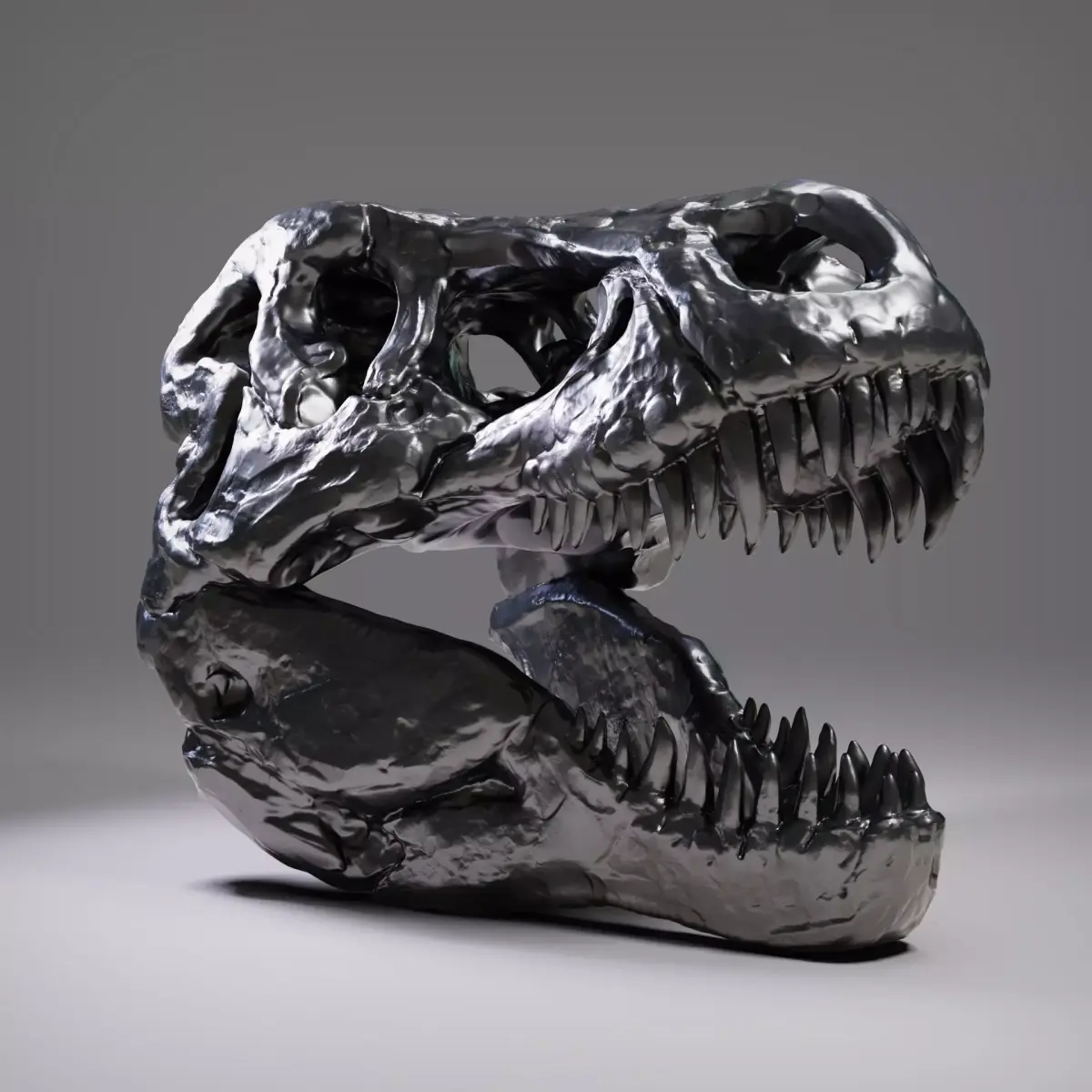 T-rex Skull Free 3D print model