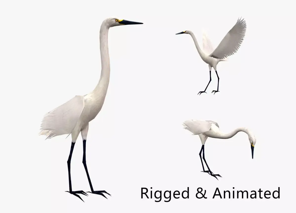 animated egret Low-poly 3D model