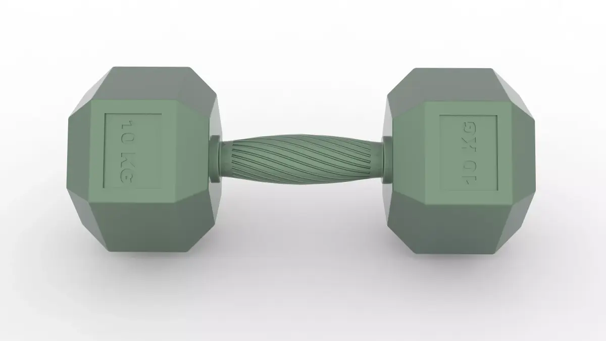 Hexagonal 10kg dumbbell with ergonomic knurled grip  3D model