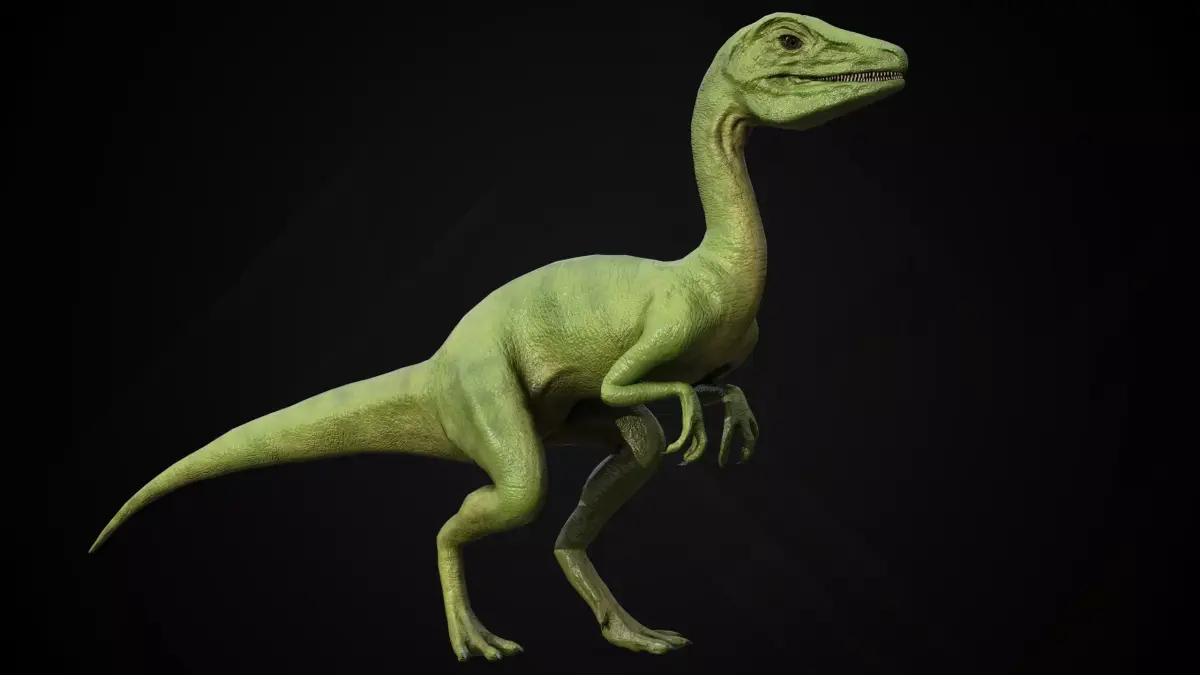Compsognathus - Compy dinosaurs Low-poly 3D model