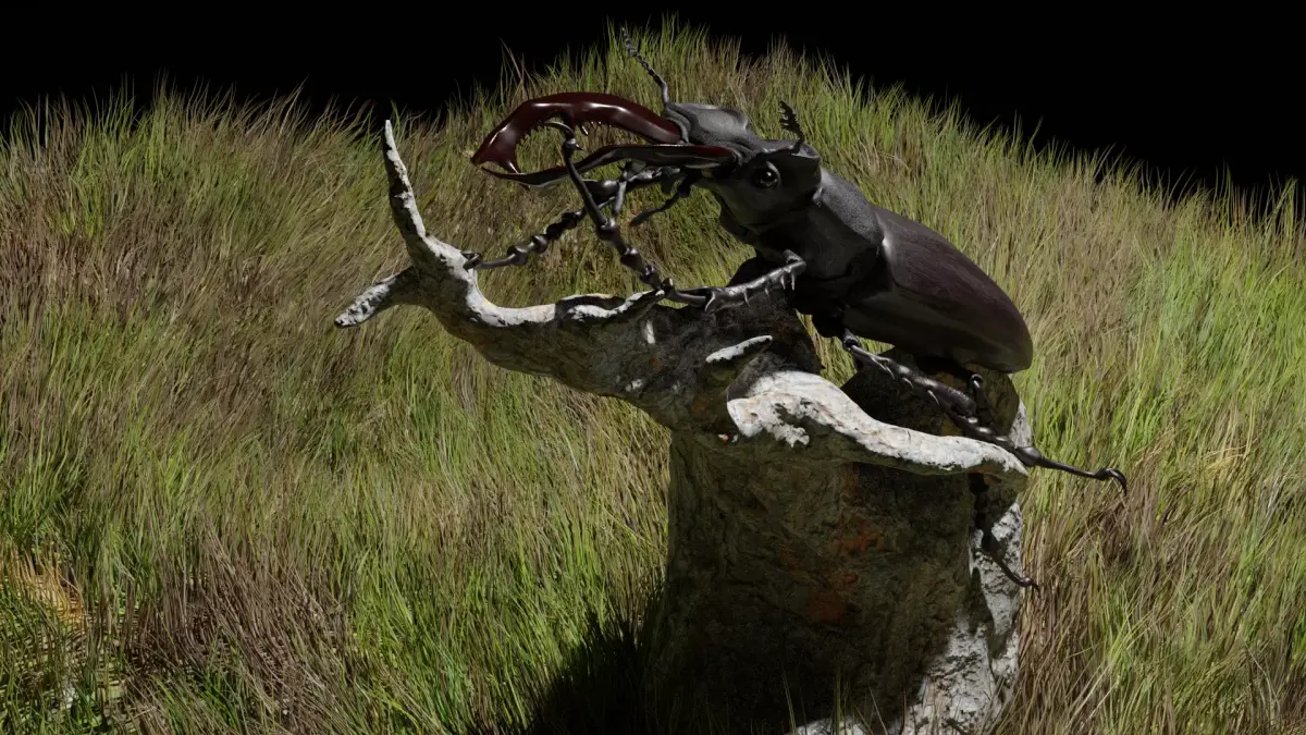 Stag beetle and ground 3D model
