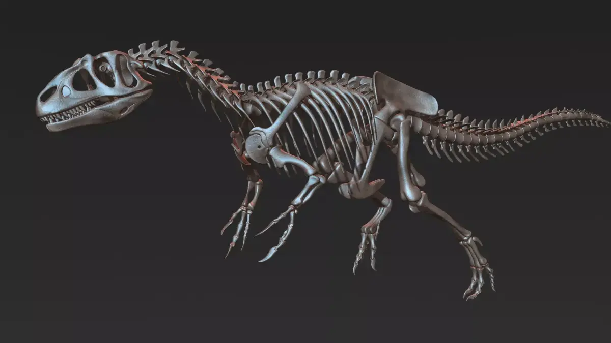 Allosaurus skeleton model Low-poly 3D model