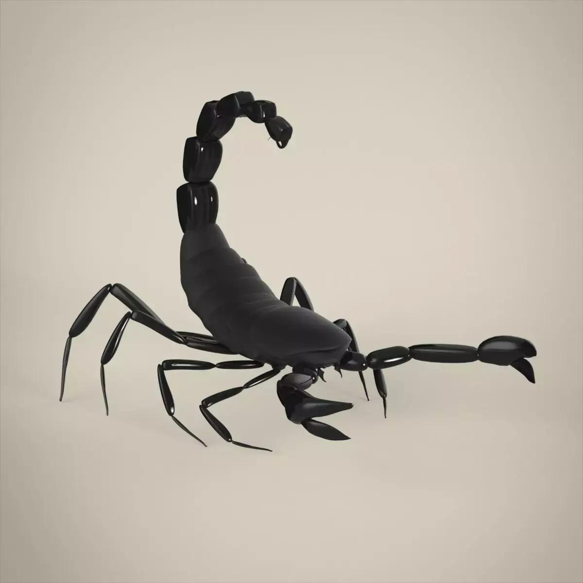 Scorpion 3D model 4