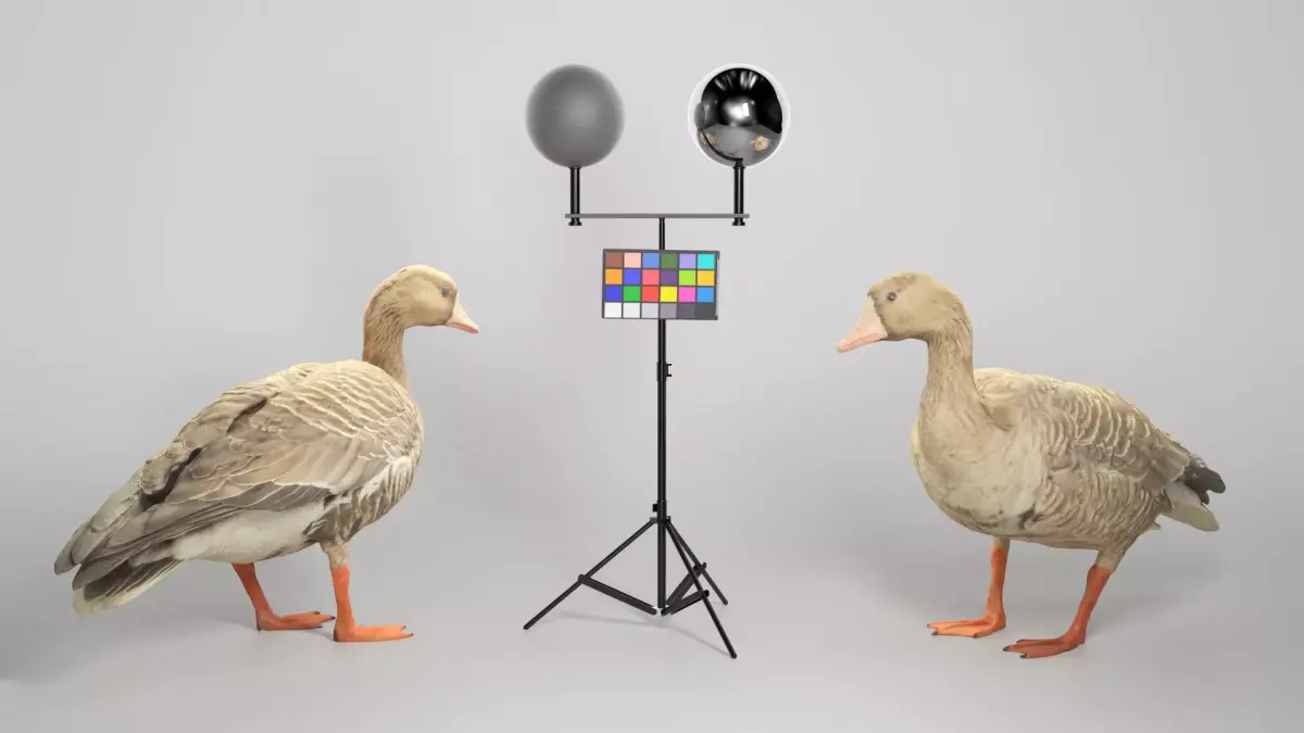 Goose 19 Low-poly 3D model
