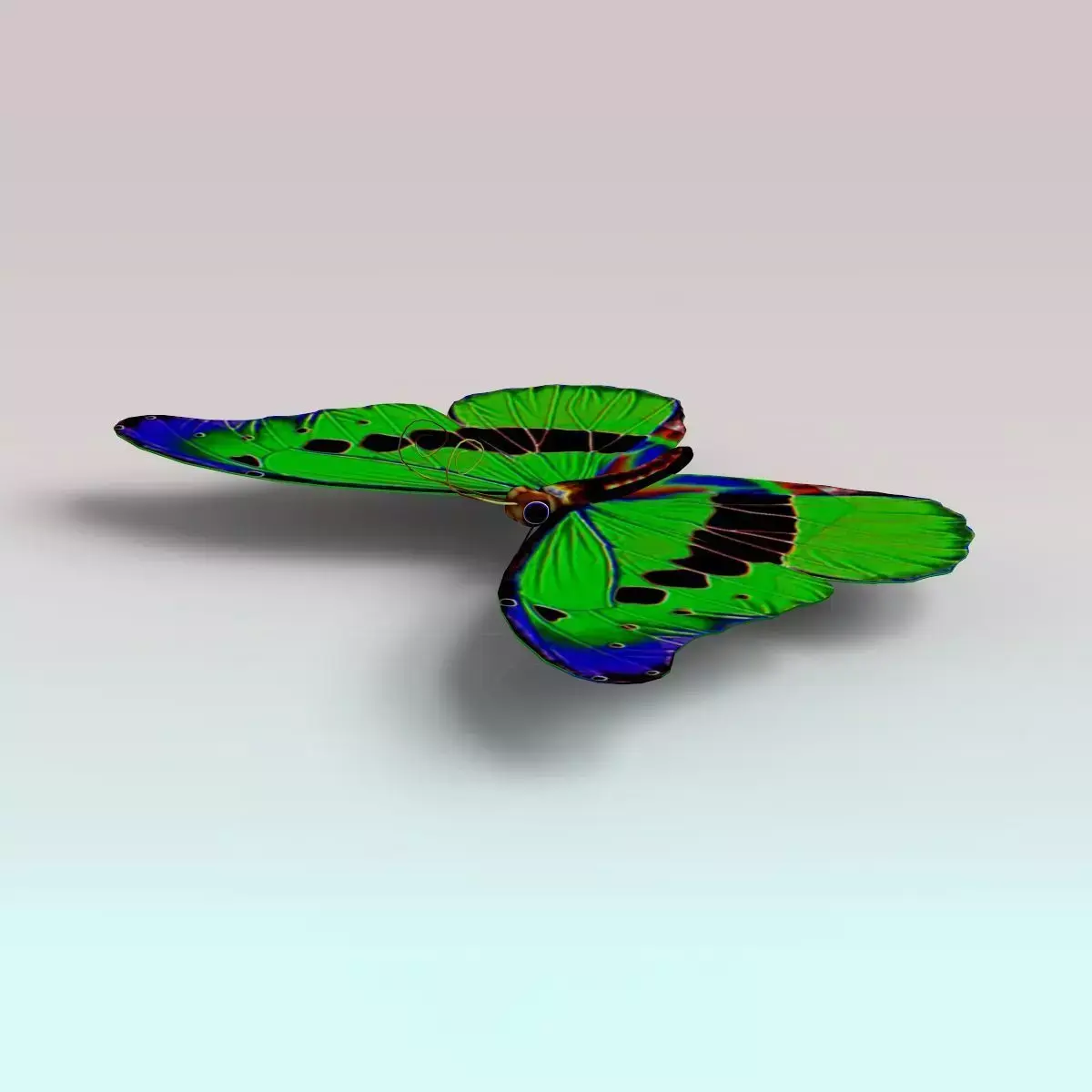 Butterfly with wings Low-poly 3D model