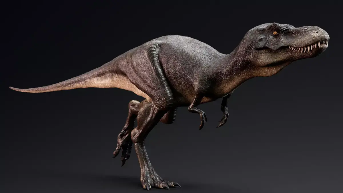 Dinosaur Juvenile Tyrannosaurus Rex - Unity Project Low-poly 3D model