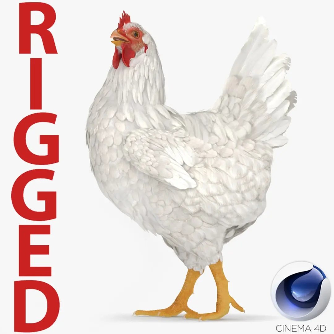 White Chicken Rigged for Cinema 4D 3D model