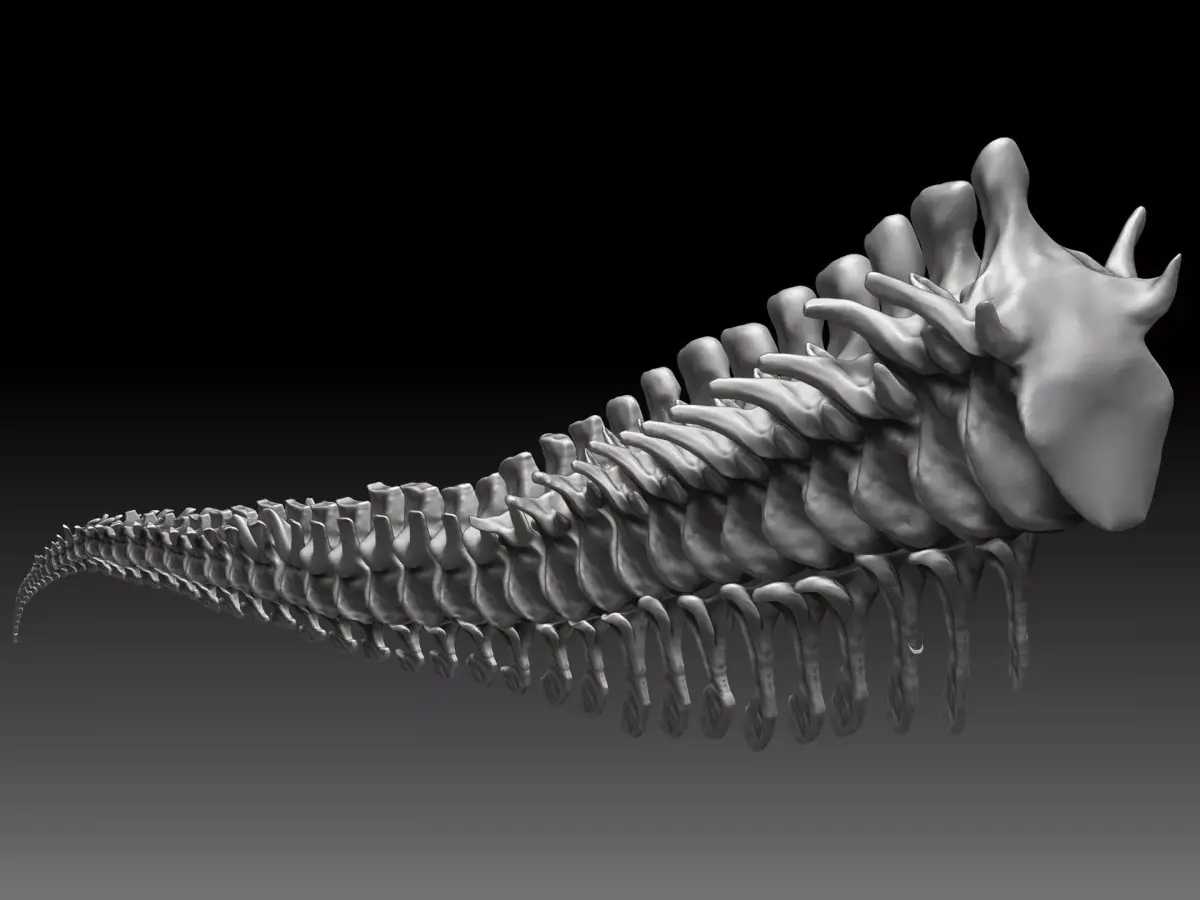 Dinosaur Tarbosaurus Bataar Tail Set 3D model