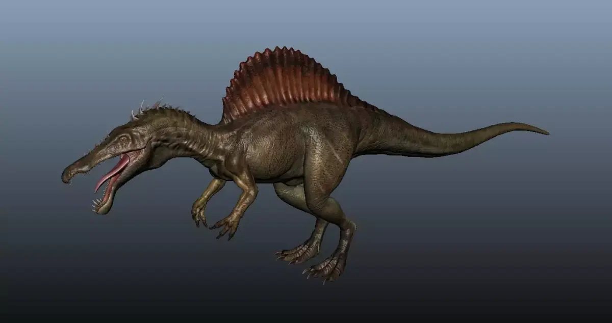 Spinosaurus dinosaur 3D model buy