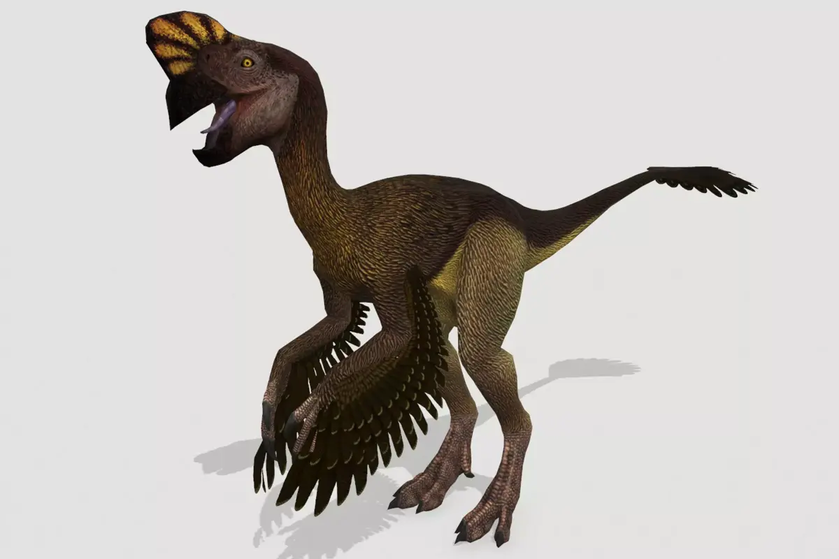 Oviraptor Low-poly 3D model