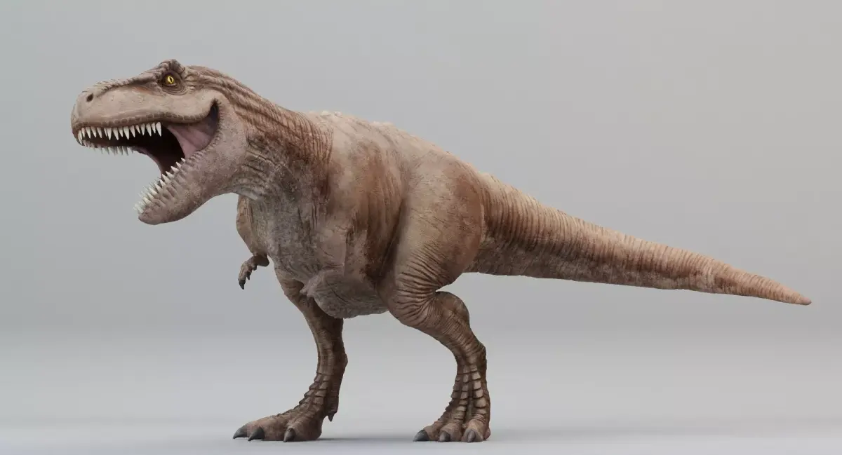 Tyrannosaurus Rex Rigged Low-poly 3D model purchase