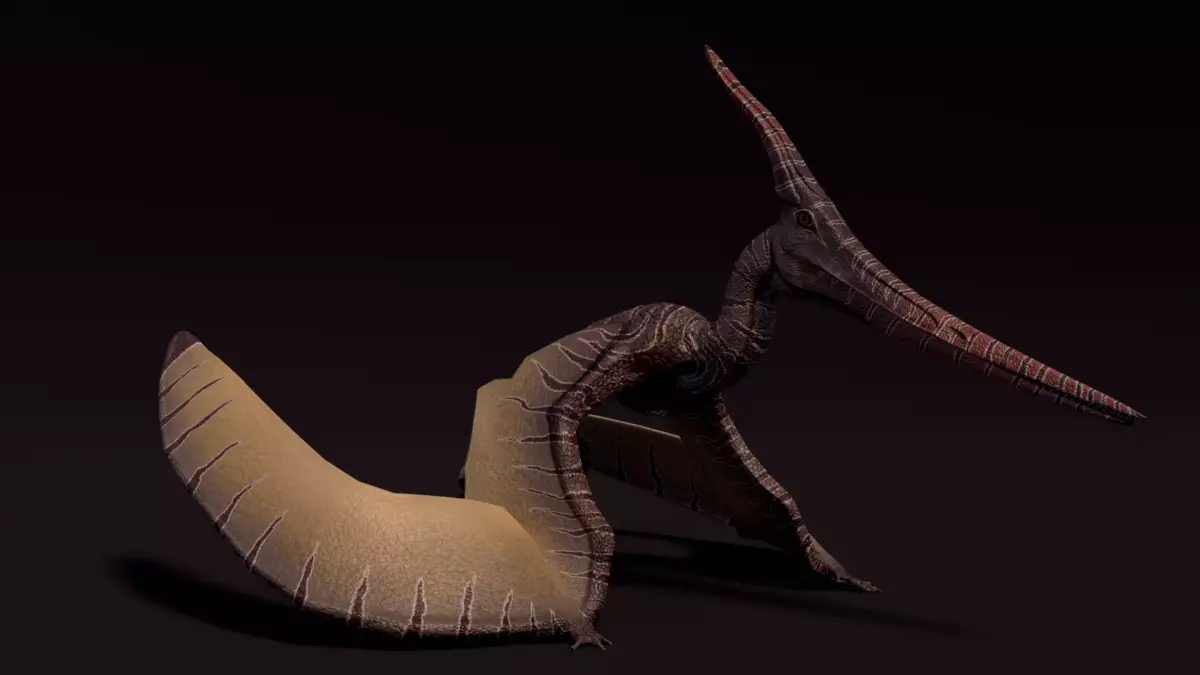 Pterodactyl Asset Pack Low-poly 3D model