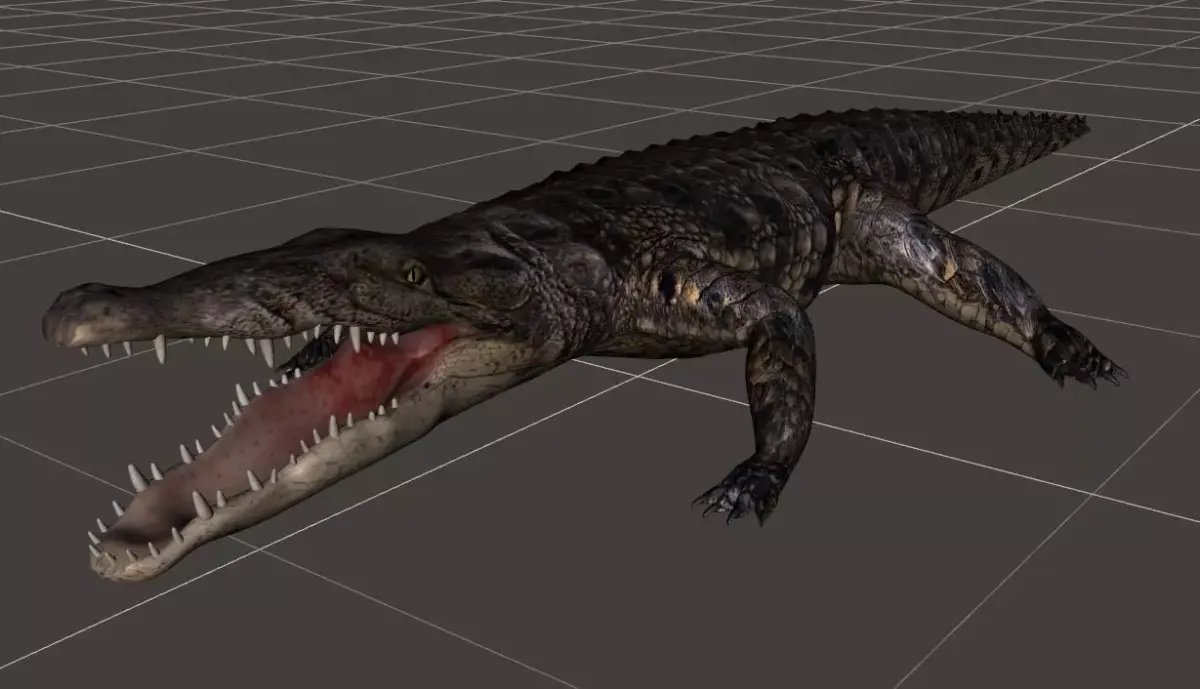 A Crocodile realistic 3d model alligator 3D model