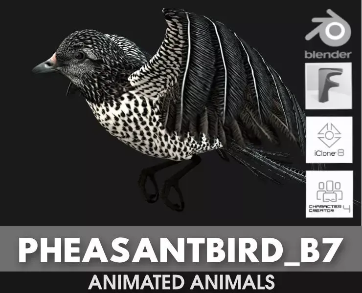 PheasantBird B7 3D model