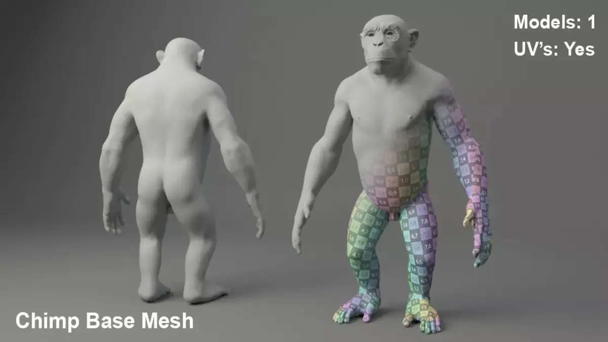 Chimp Base Mesh 3D model