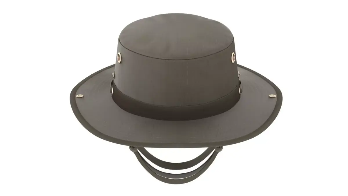 Wanderer Hat Low-poly 3D model