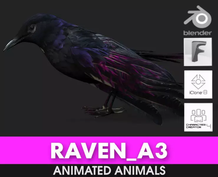 Raven A3 3D model