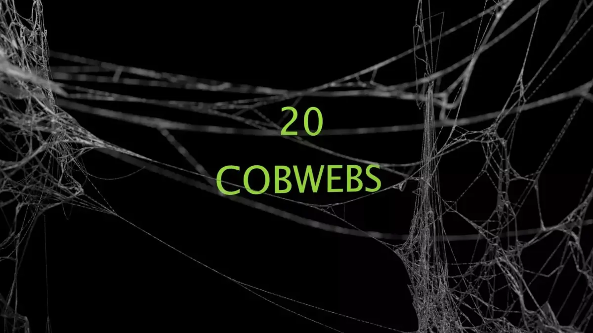 Cobwebs Collection open door with spider webs 3D model