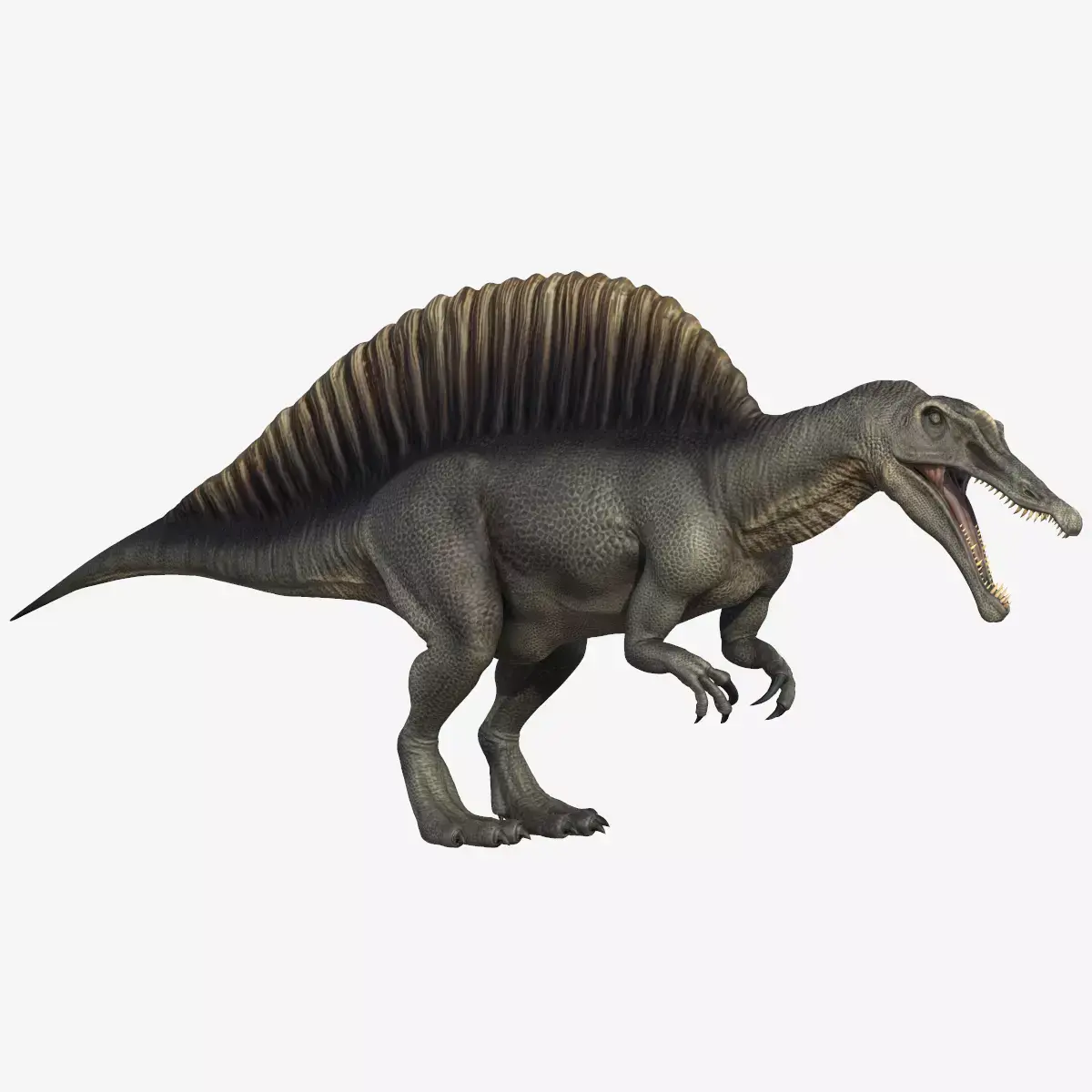 Spinosaurus dinosaur Low-poly 3D model get