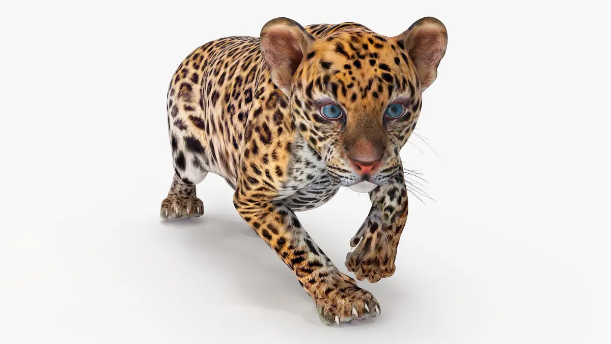 Leopard Cub Sneaking Pose 3D model