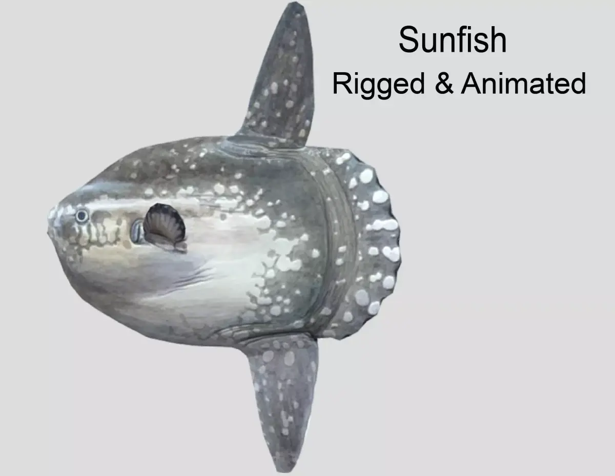 Sunfish Low-poly 3D model