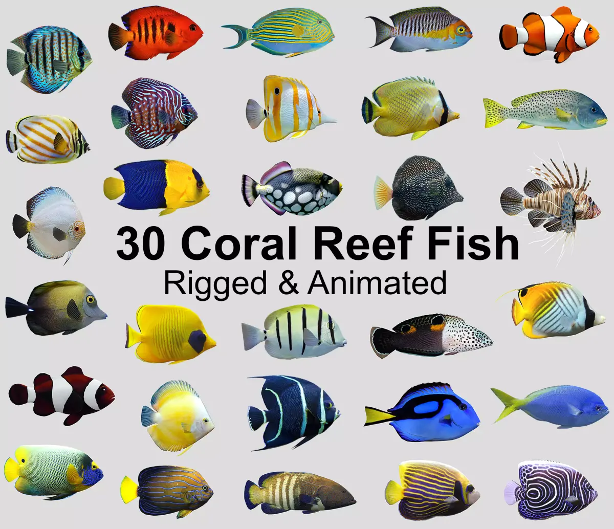 Coral Reef Fish Collection Animated - Game Ready pack 8 Low-poly 3D model