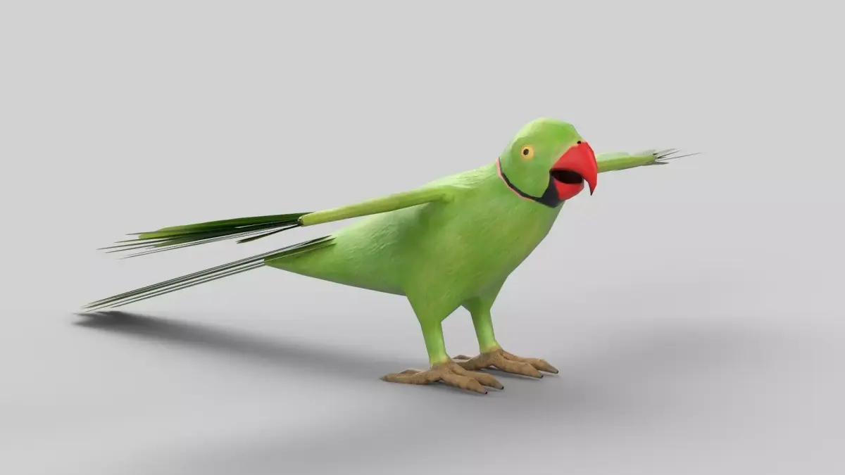 parrot flying in air Low-poly 3D model