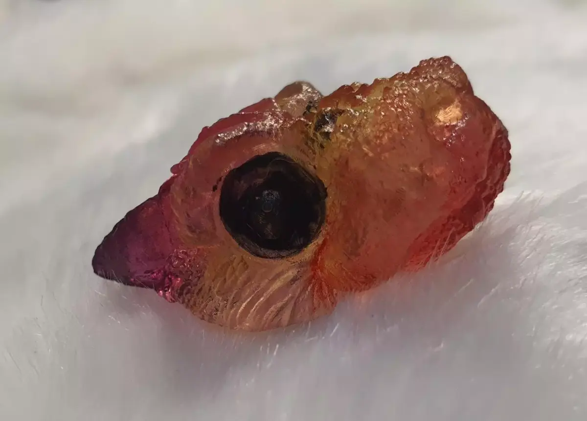 FEATHERED DRAGON VELOCIRAPTOR DINOSAUR JEWELLERY PENDANT 3D print model