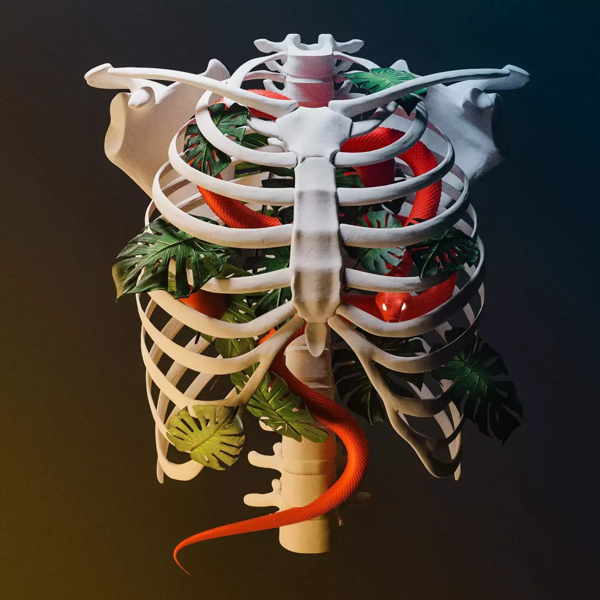 Ribcage snake 3D model