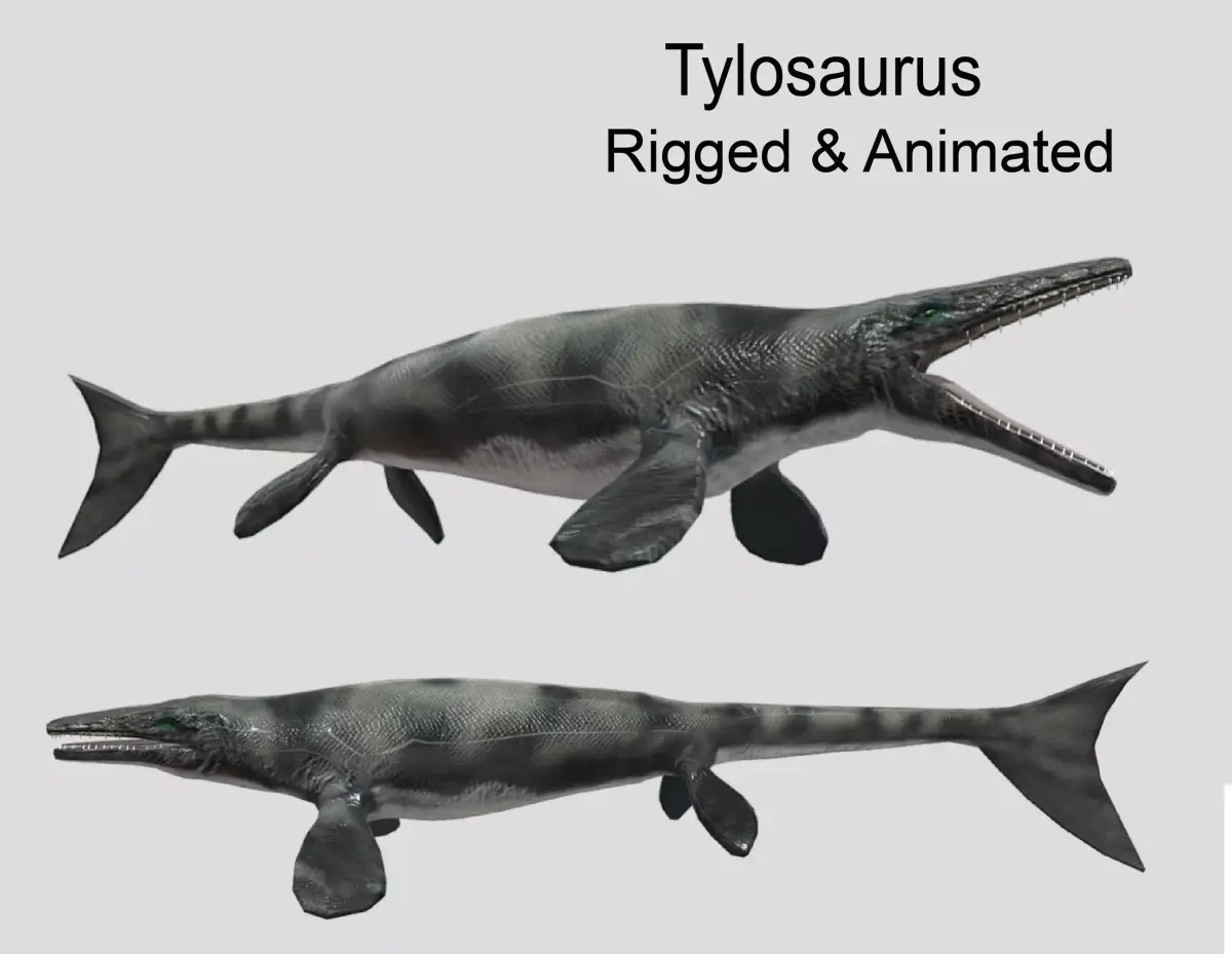 Tylosaurus Low-poly 3D model purchase