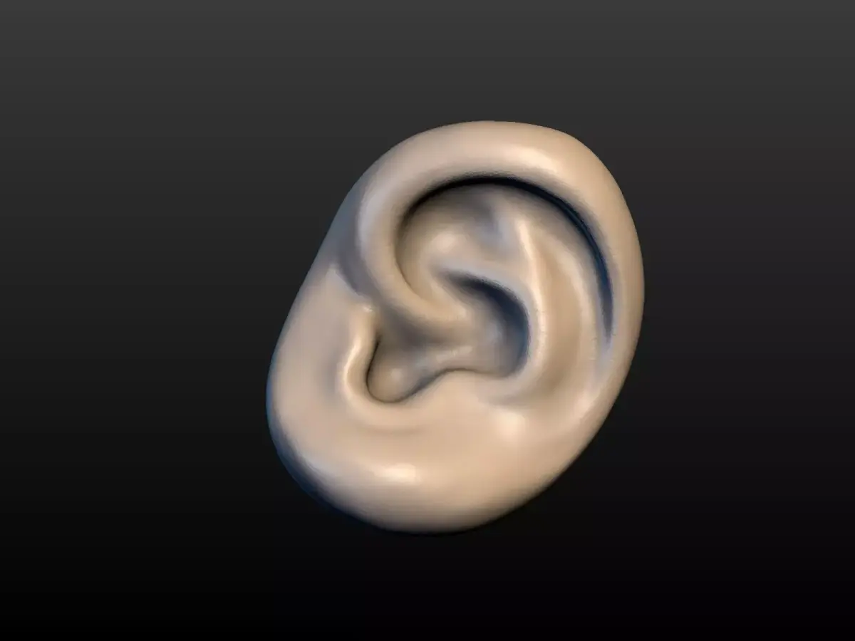 Round Ear 3D print model