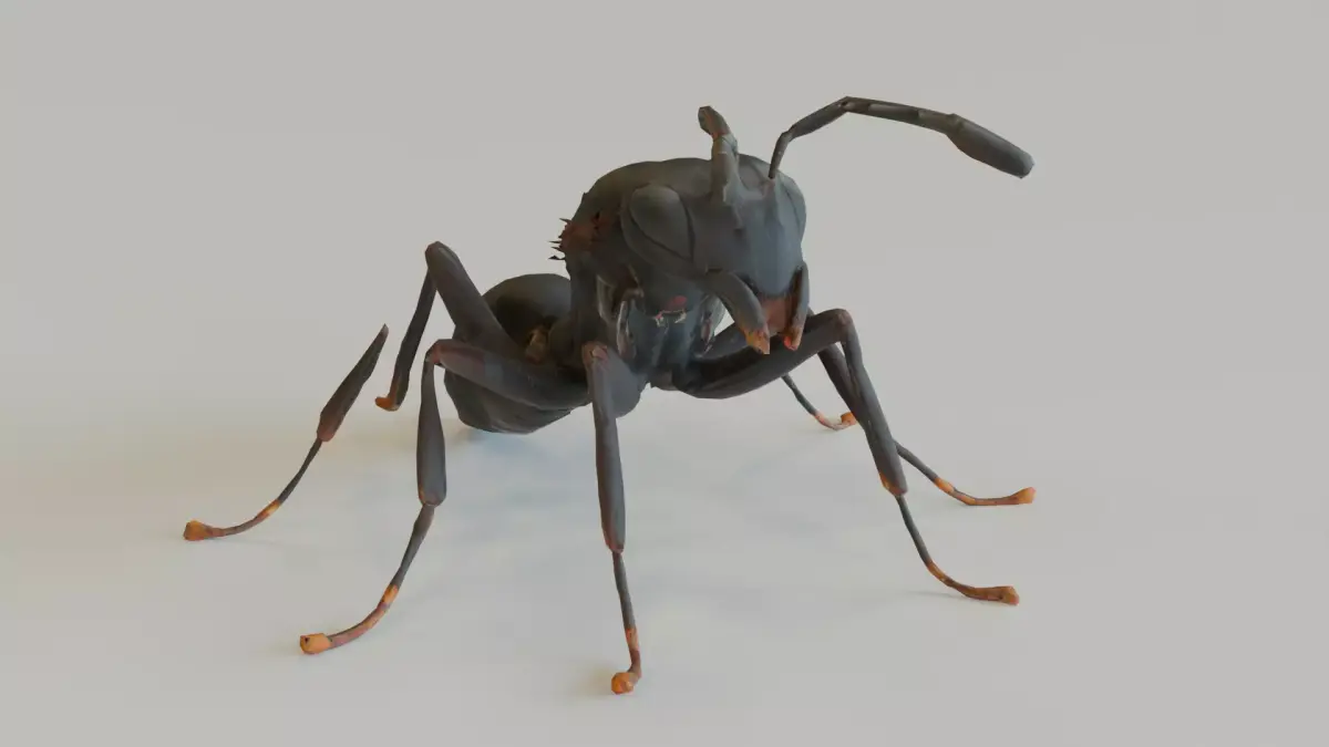 Hormiga Low-poly 3D model