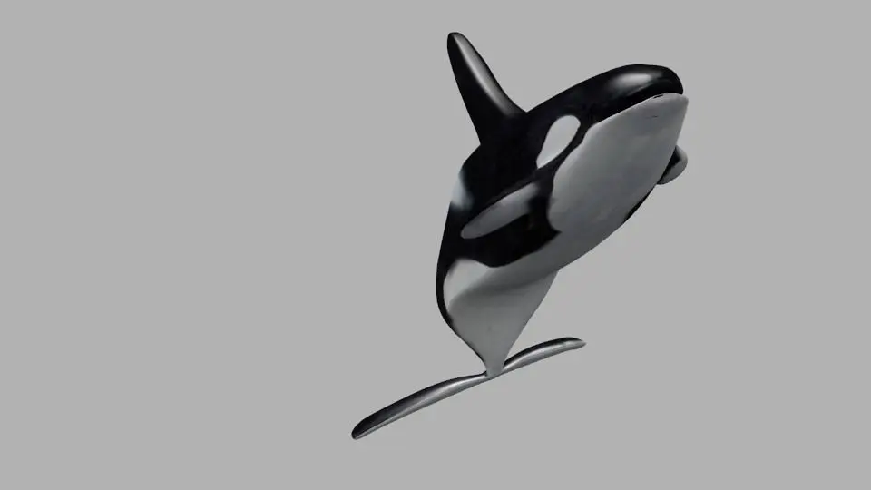 Killer Whale Animate and Rigged Low-poly 3D model