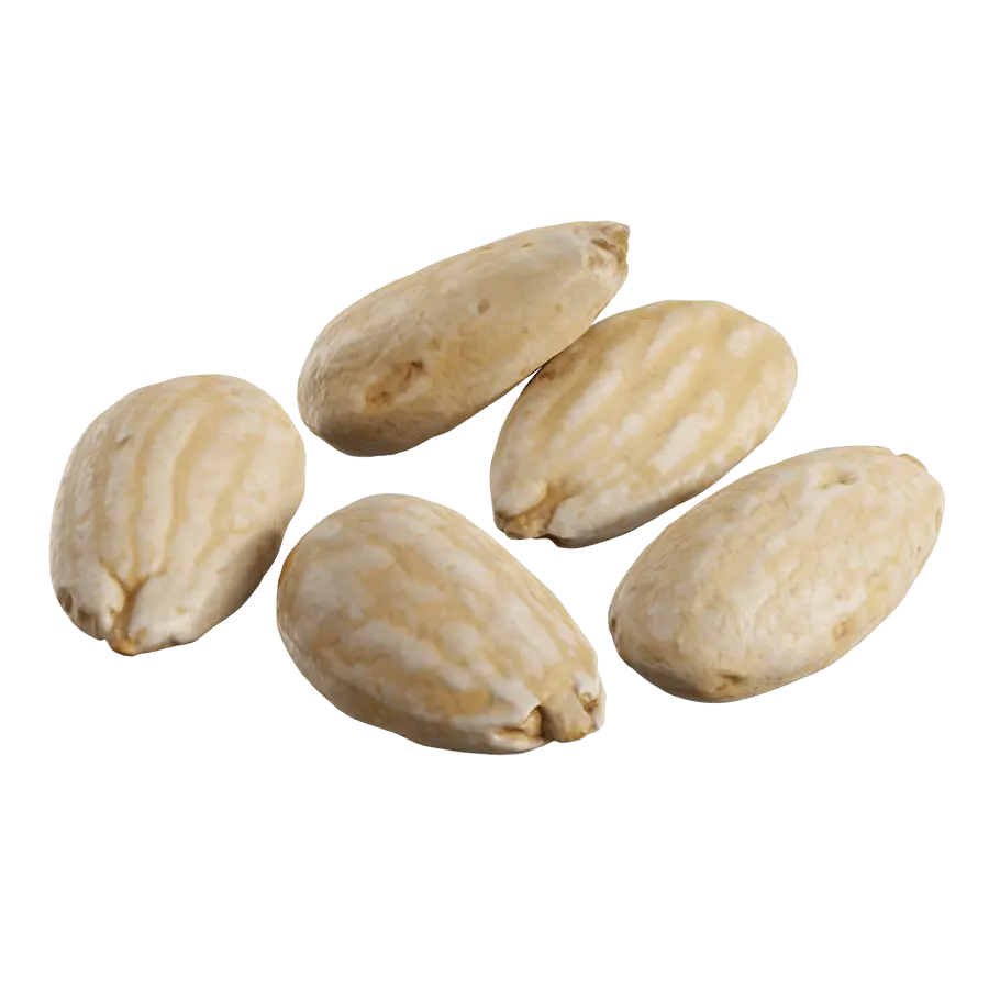  Roasted Almond Nuts Model 
