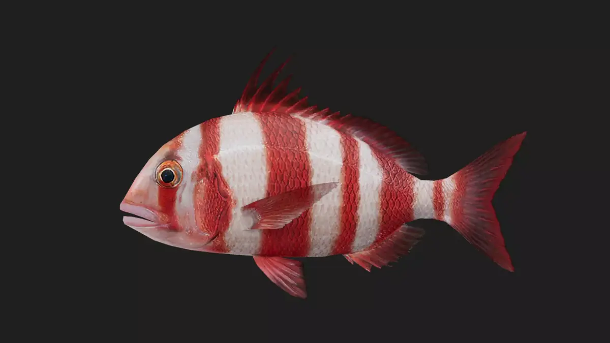 Snapper Low-poly 3D model